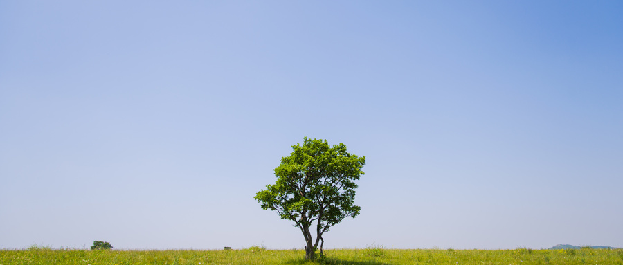 昆山新概念英語(yǔ)哪里比較好 口碑好的英語(yǔ)培訓(xùn)機(jī)構(gòu)