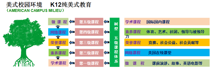 深圳市楓葉學(xué)校課程